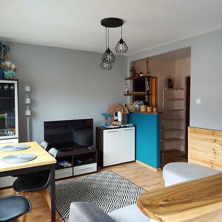Apartament Bieszczadzka Aniolomania Appartamento Ustrzyki Dolne Esterno foto